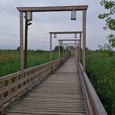 پل چوبی کیاشهر